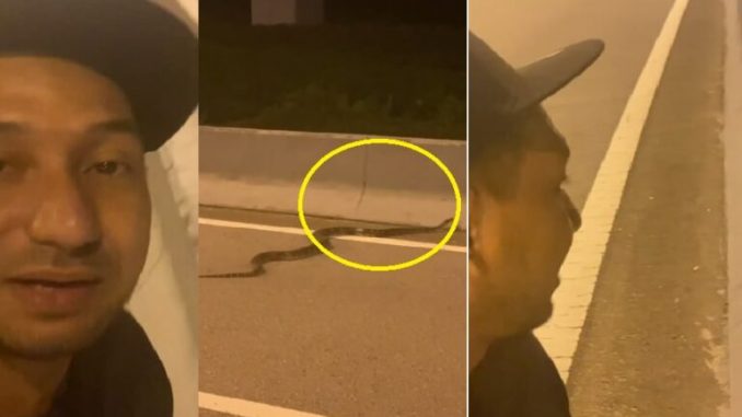 Zizan terserempak dengan Ular Sawa di tengah jalan. Sekali dia pergi dekat  sampai ini yg terjadi – Satkoba Viral